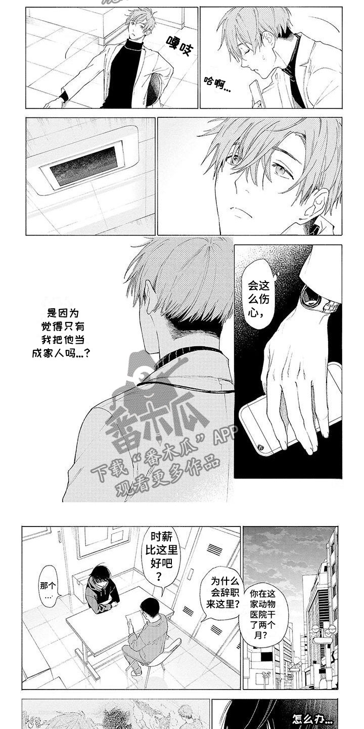 服从吧狼少年漫画,第14章：他的决定1图