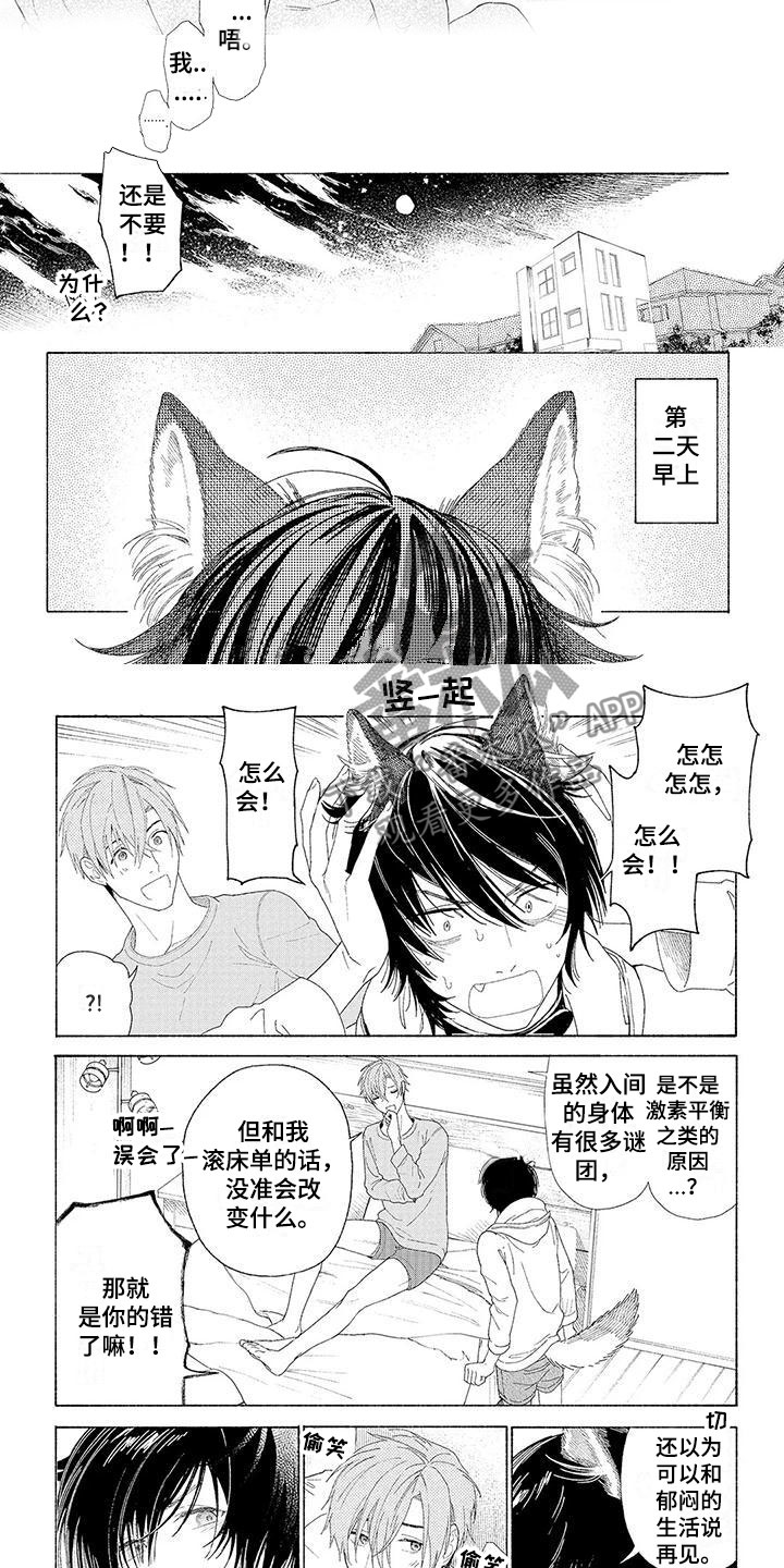 服从吧狼少年漫画,第17章：像是家人2图