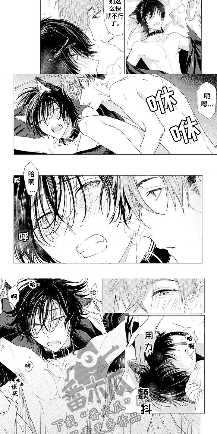 服从吧狼少年漫画,第9章：拥抱5图