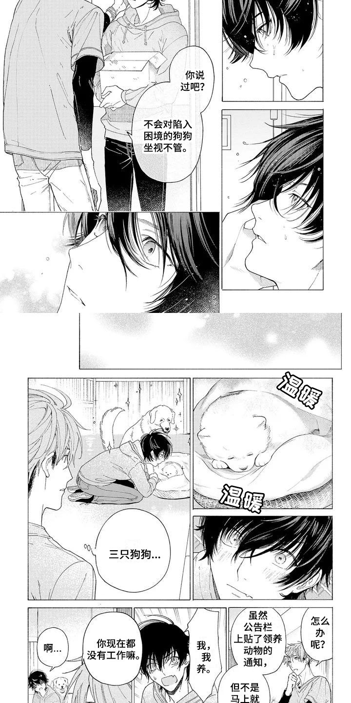 服从吧狼少年漫画,第3章：新的工作1图