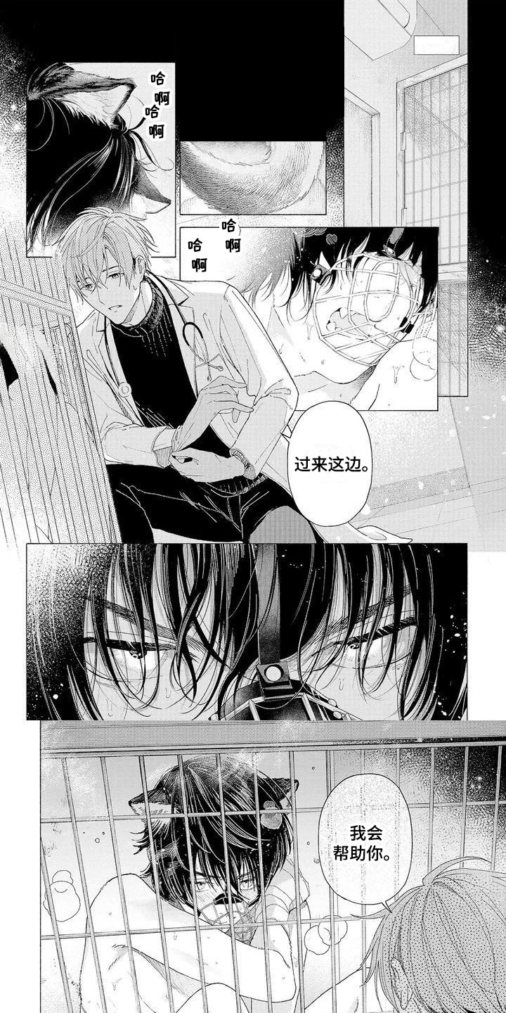 服从吧狼少年漫画,第1章：可爱的狼人1图