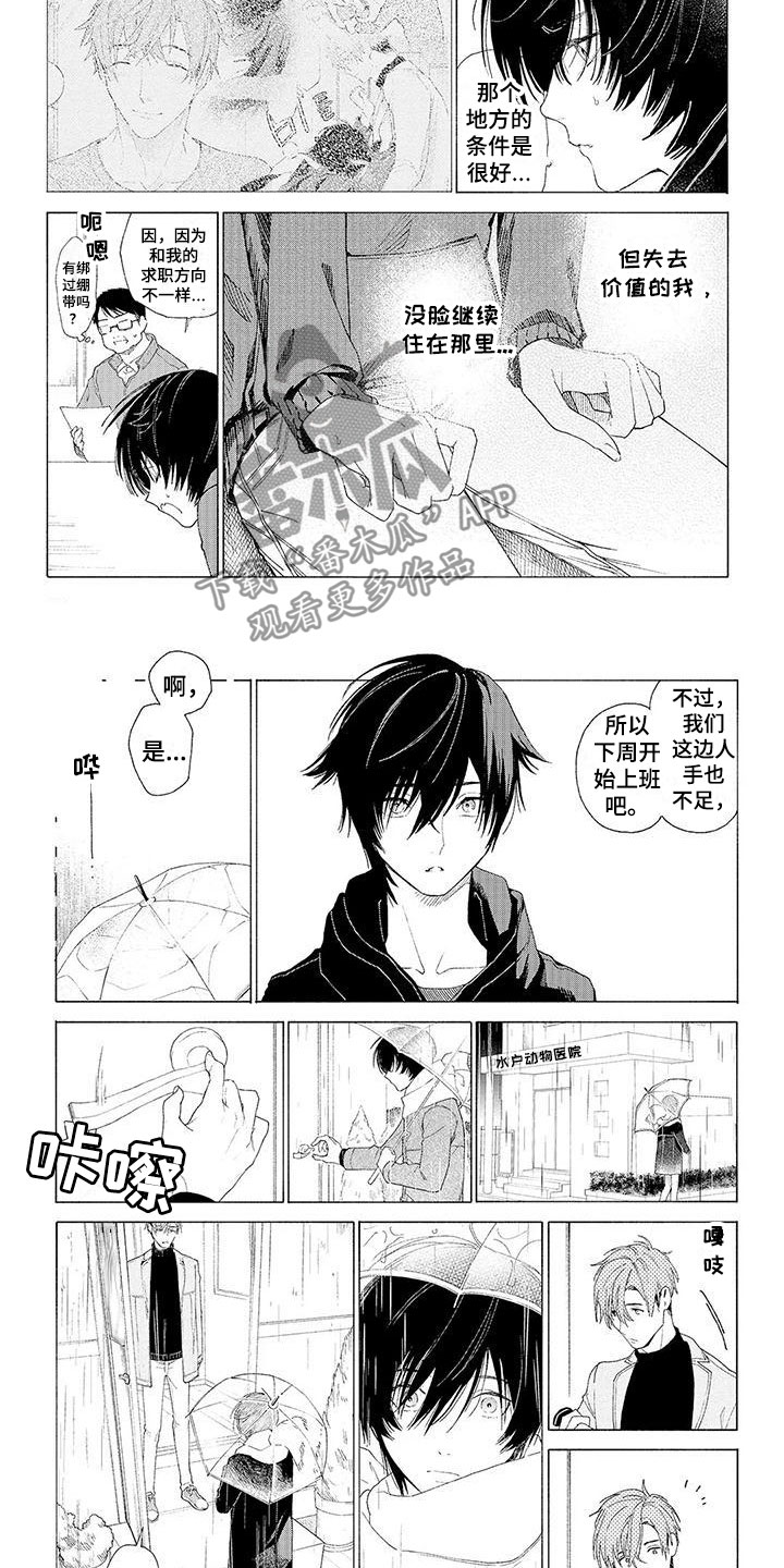 服从吧狼少年漫画,第14章：他的决定2图