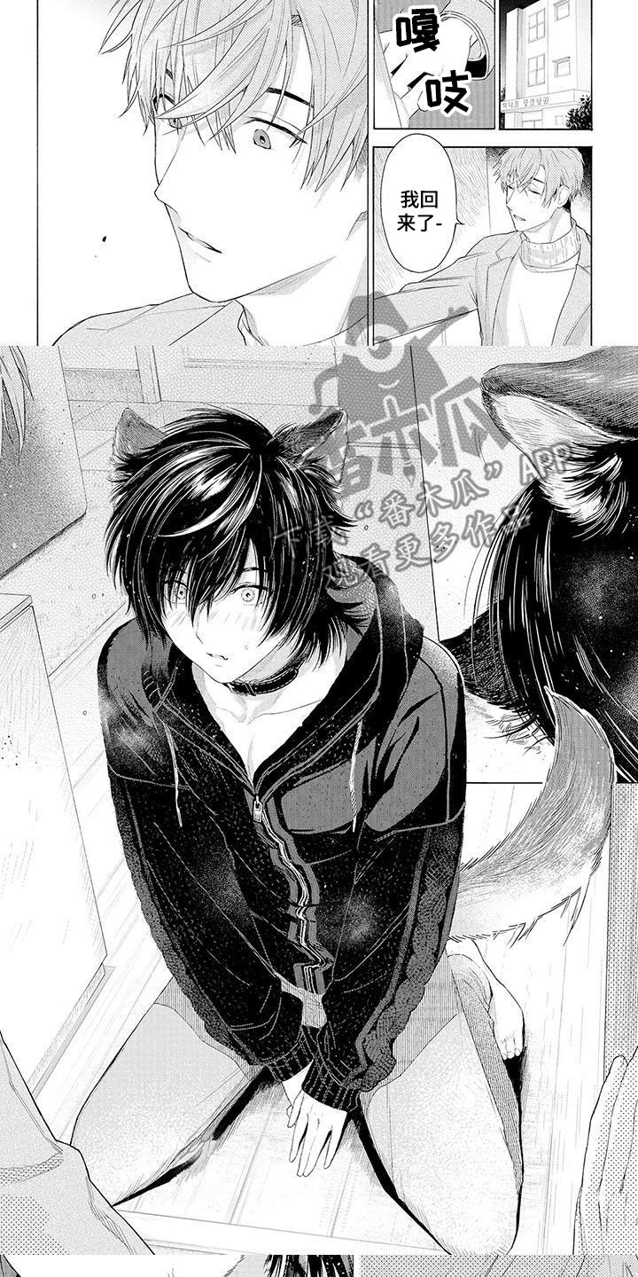 服从吧狼少年漫画,第8章：想念5图