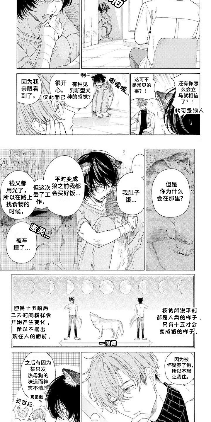 服从吧狼少年漫画,第2章：再次光临3图