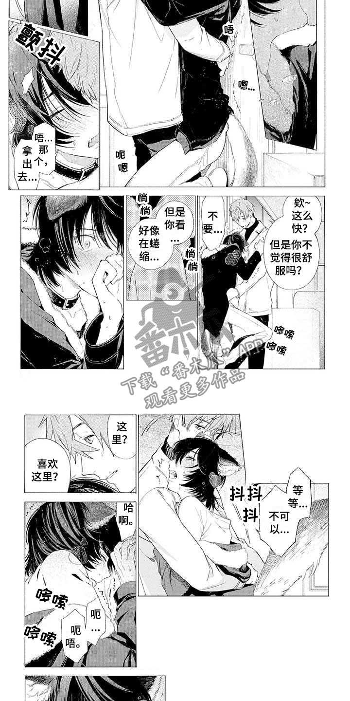 服从吧狼少年漫画,第10章：遛狗4图