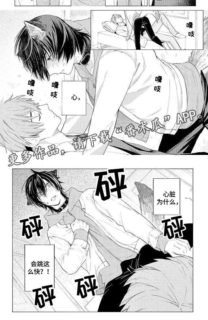 服从吧狼少年漫画,第11章：心跳加速2图