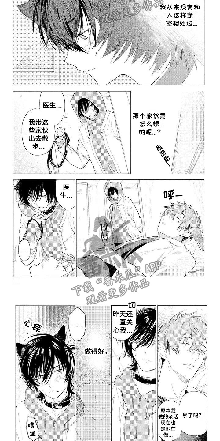 服从吧狼少年漫画,第11章：心跳加速1图