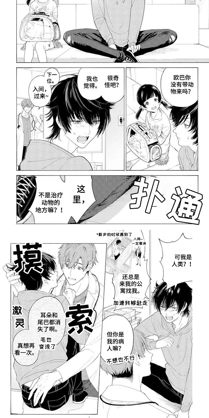 服从吧狼少年漫画,第2章：再次光临2图