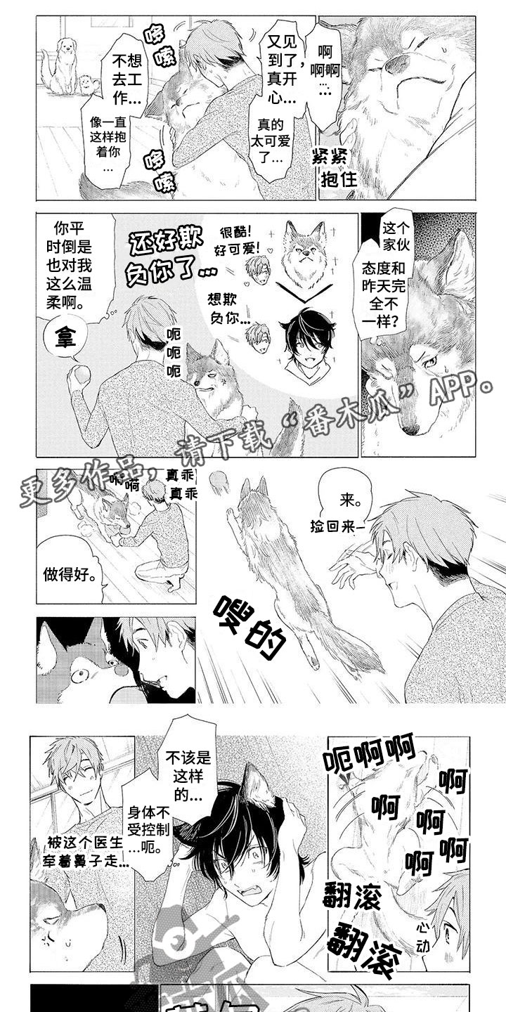 服从吧狼少年漫画,第11章：心跳加速1图