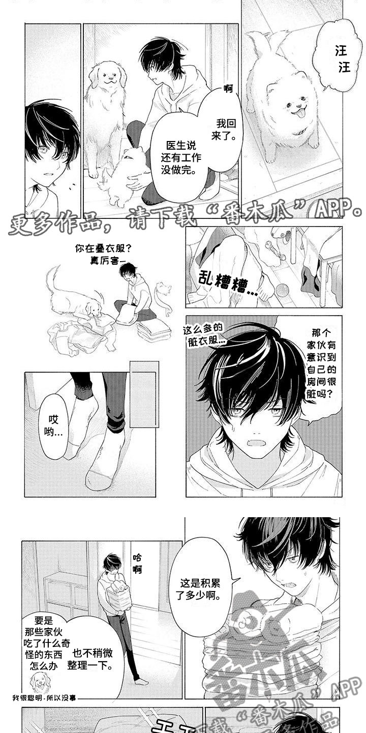 服从吧狼少年漫画,第5章：过来1图