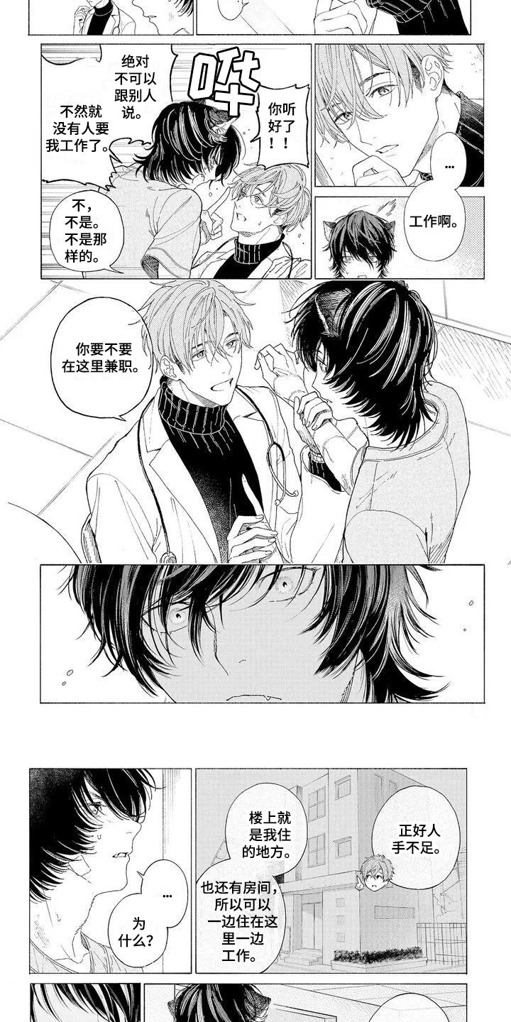 服从吧狼少年漫画,第2章：再次光临4图