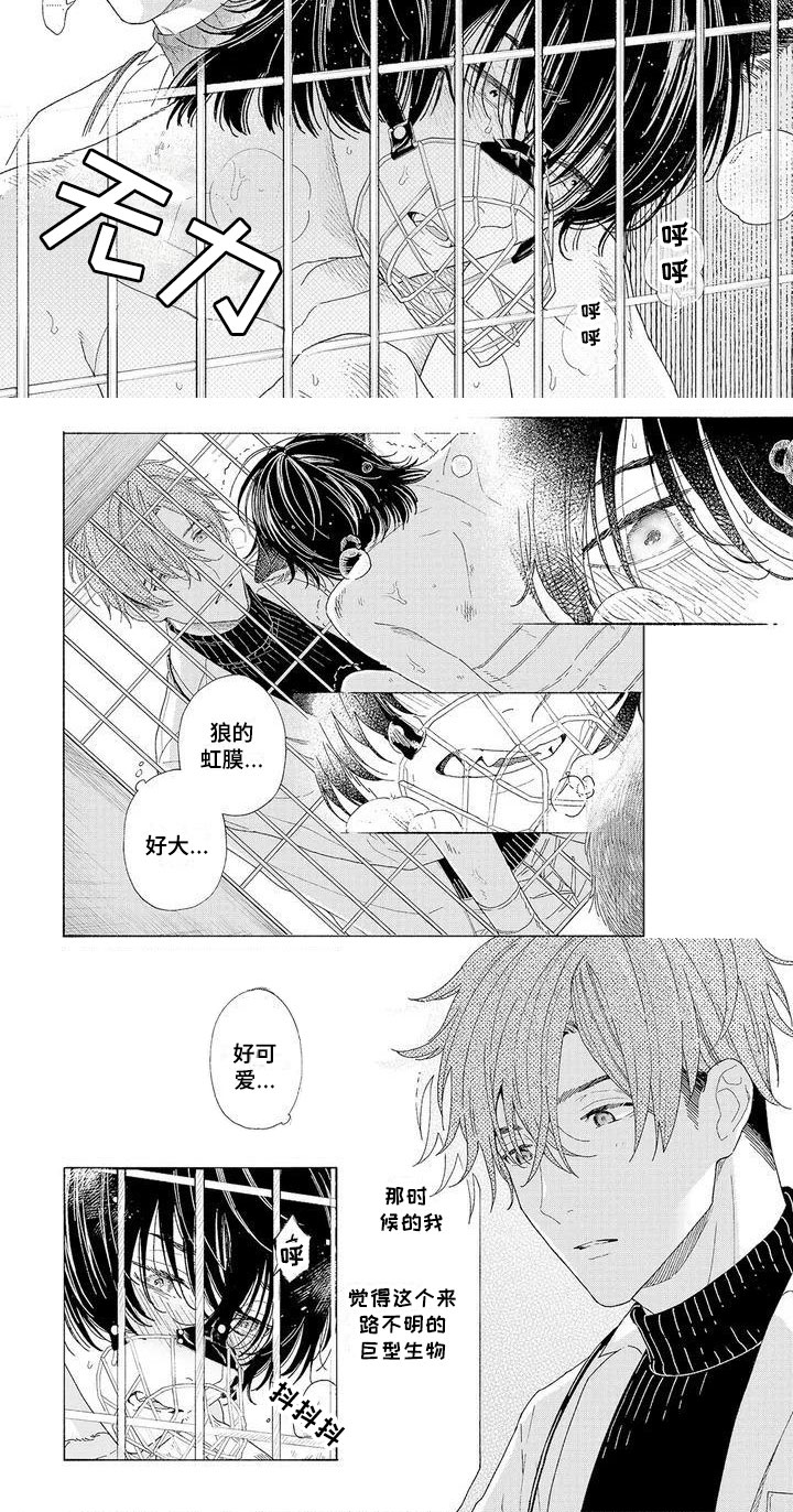 服从吧狼少年漫画,第1章：可爱的狼人3图