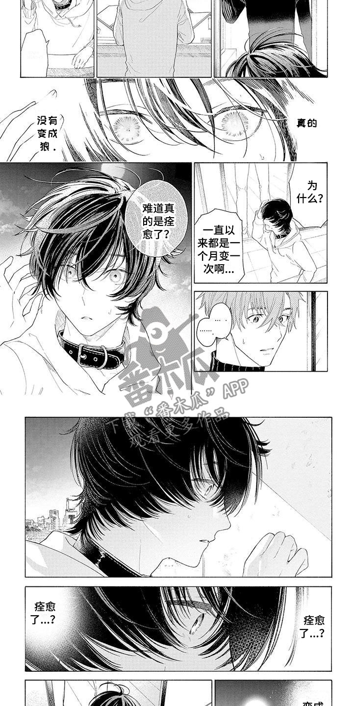 服从吧狼少年漫画,第13章：住下的理由4图