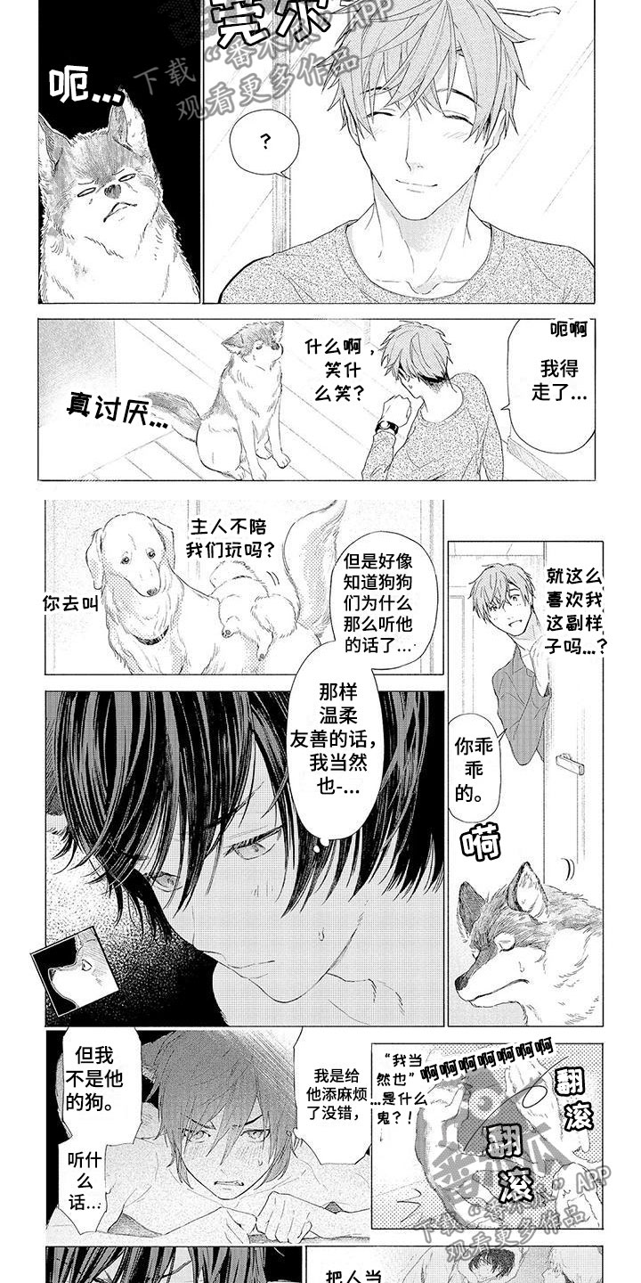服从吧狼少年漫画,第11章：心跳加速2图