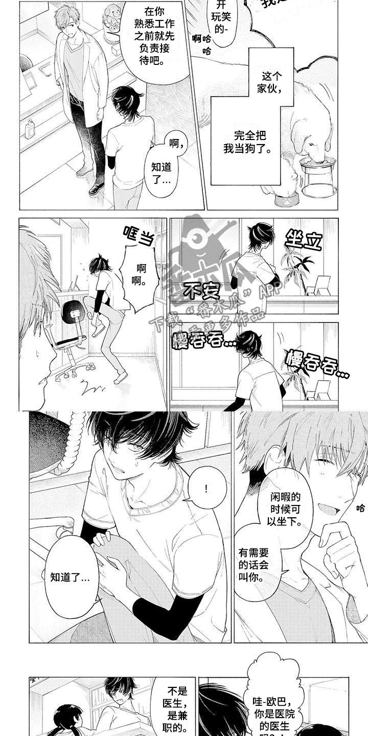 服从吧狼少年漫画,第4章：看门犬4图