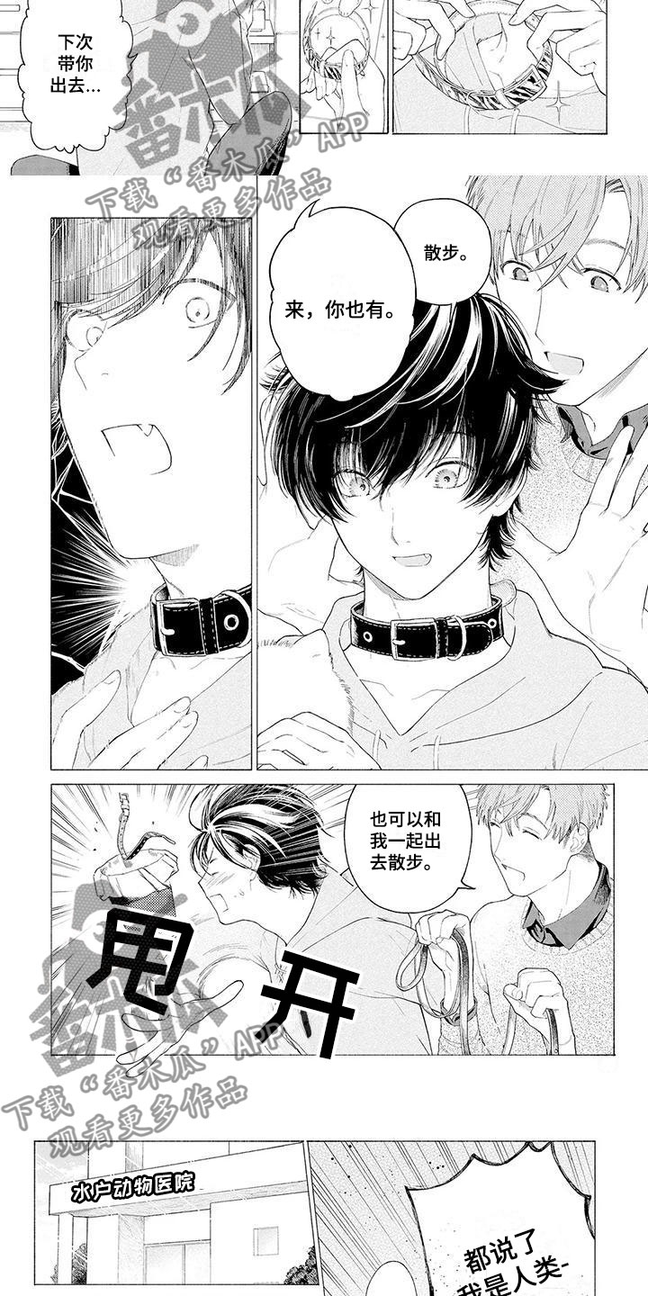 服从吧狼少年漫画,第4章：看门犬3图