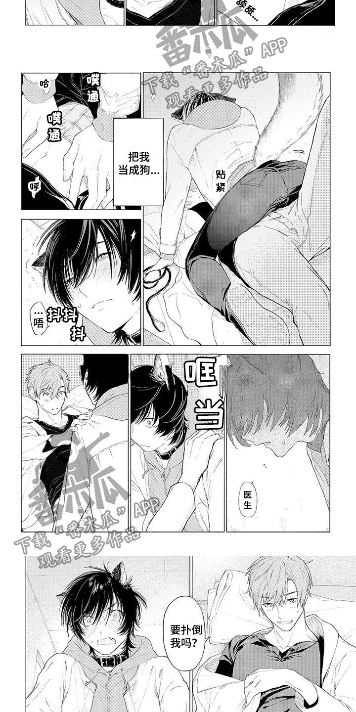 服从吧狼少年漫画,第12章：突变2图