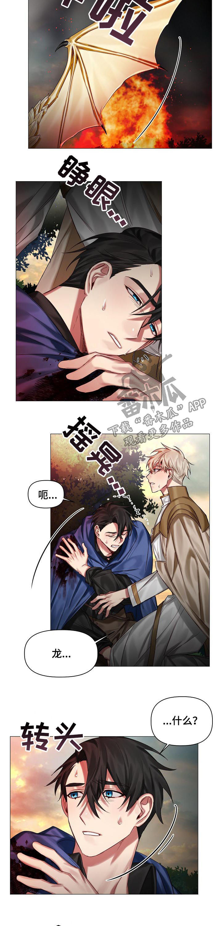 皇家骑士漫画,第42章：化龙3图