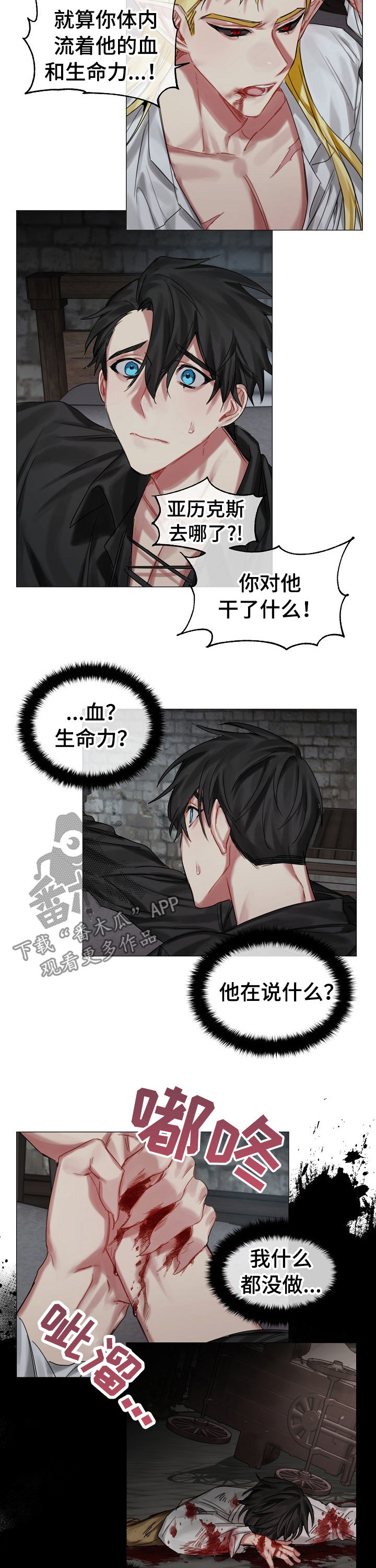 皇家骑士漫画,第28章：快叫医生2图