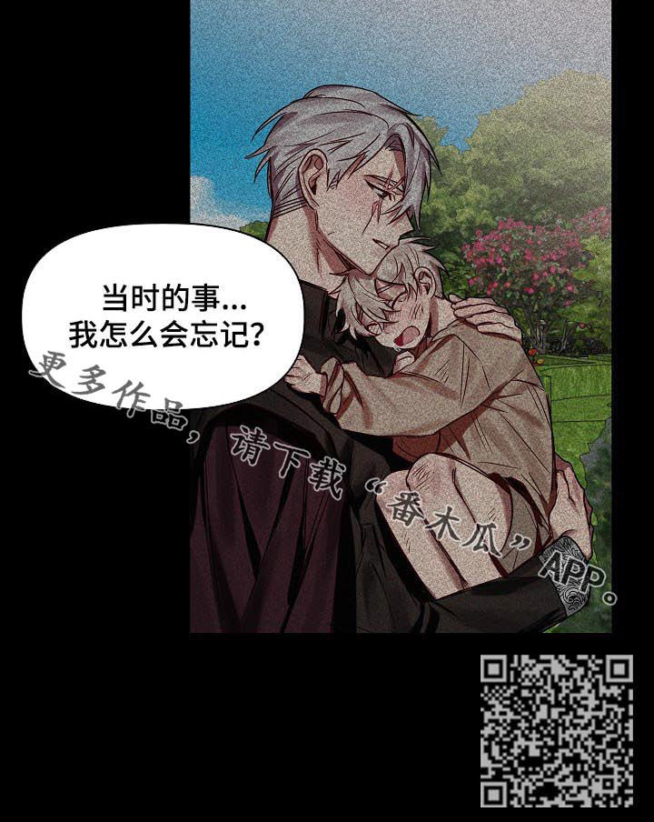 皇家骑士漫画,第47章：番外：怎会忘记4图