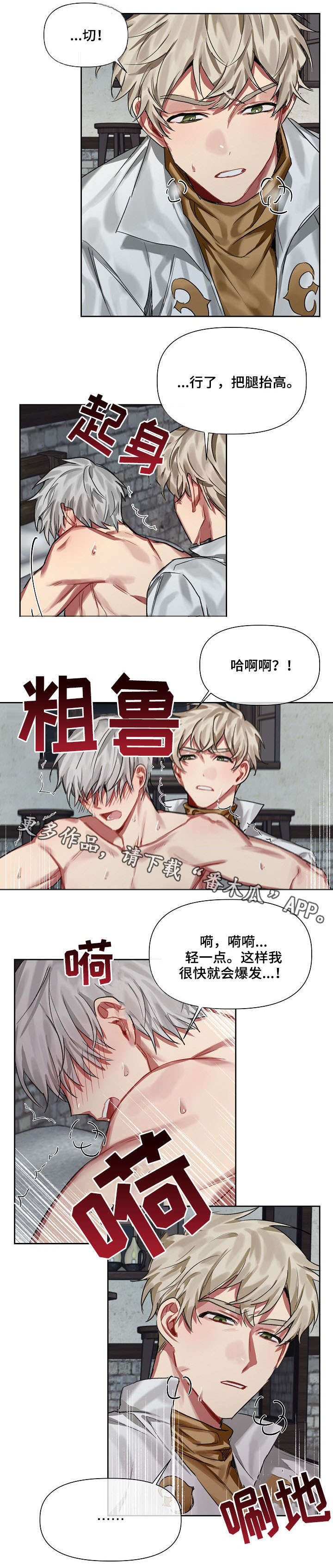 皇家骑士漫画,第19章：爱慕3图