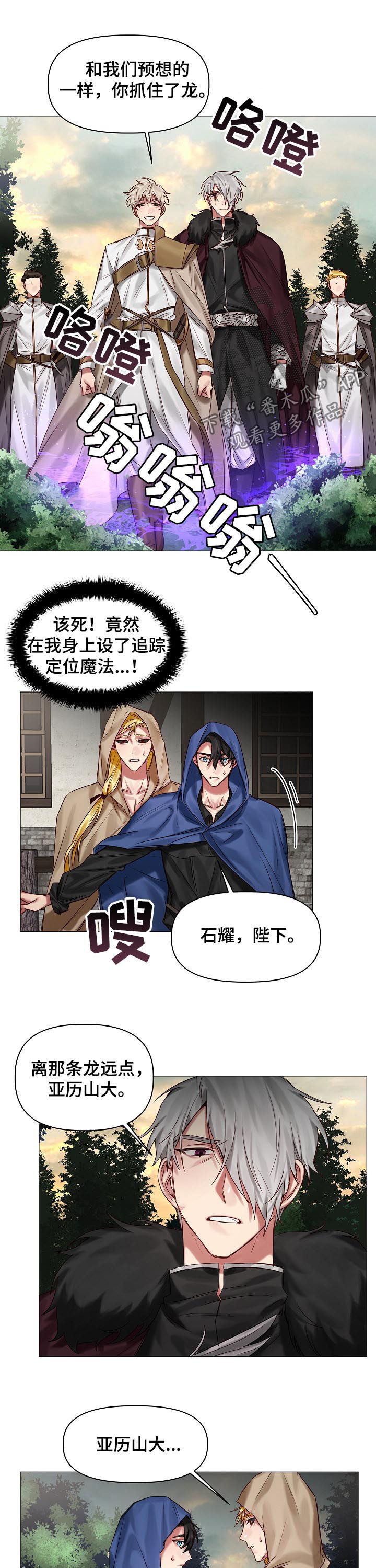 皇家骑士漫画,第38章：等很久了3图