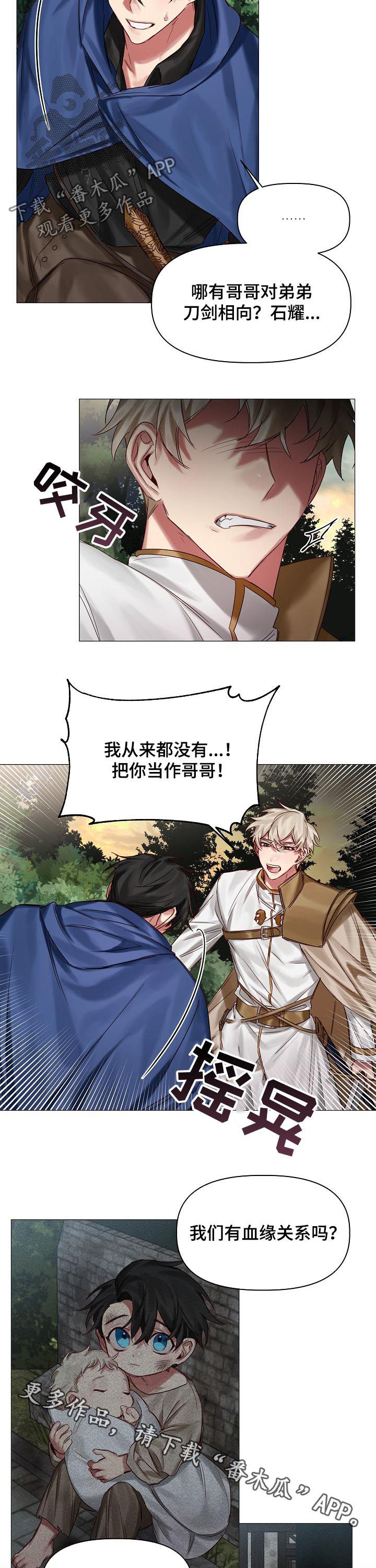 皇家骑士漫画,第39章：刀剑相向3图