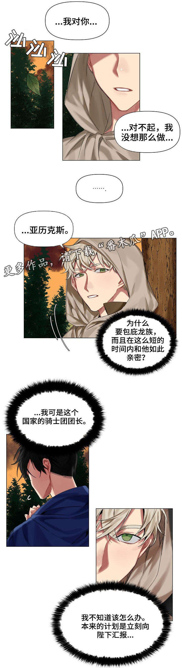 皇家骑士漫画,第13章：弟弟1图