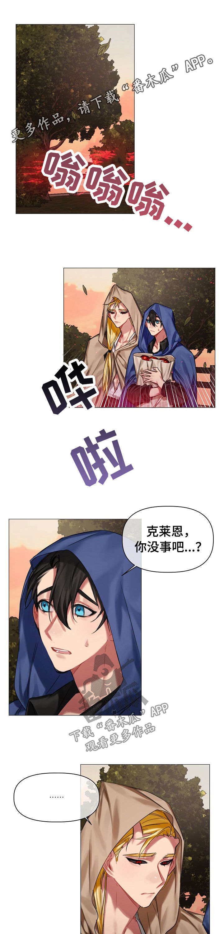皇家骑士漫画,第27章：你是谁1图