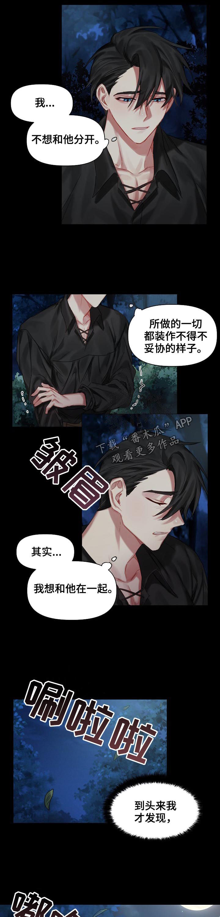 皇家骑士漫画,第31章：我爱他1图