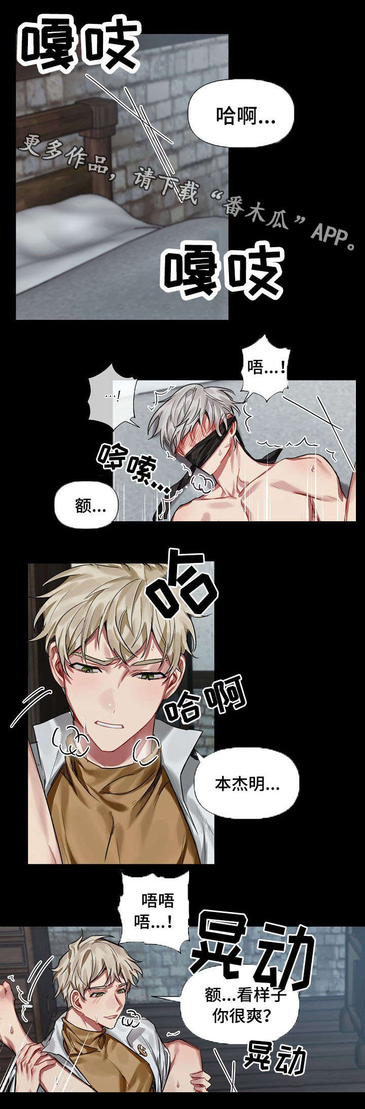 皇家骑士漫画,第20章：魔法石1图