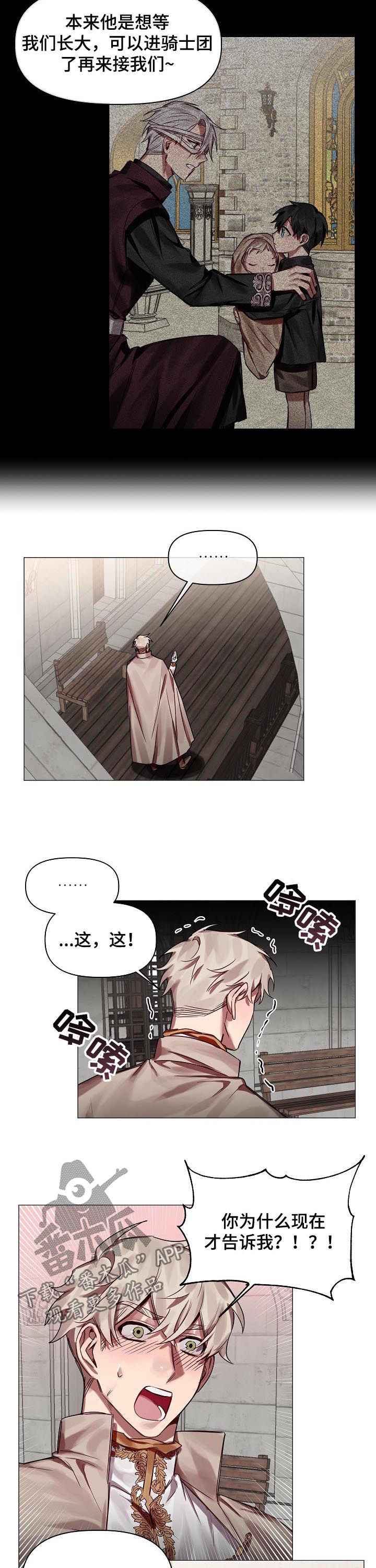 皇家骑士漫画,第48章：番外：同样在意3图