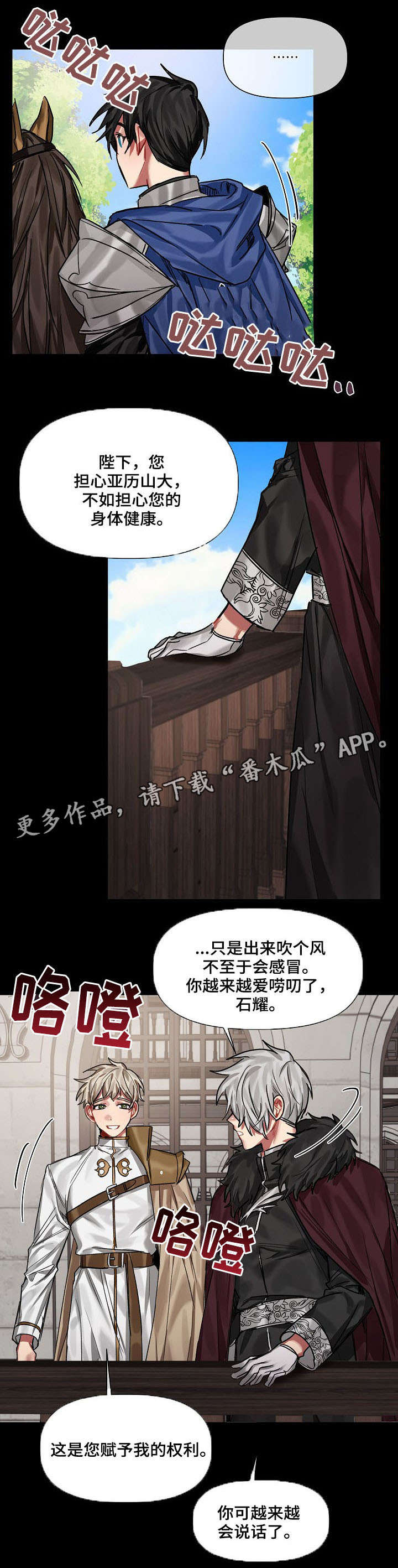 皇家骑士漫画,第19章：爱慕3图