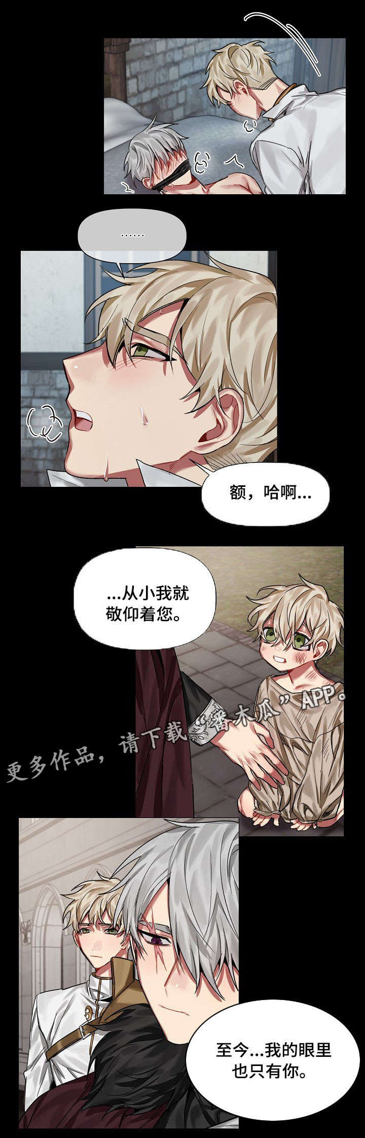 皇家骑士漫画,第20章：魔法石3图