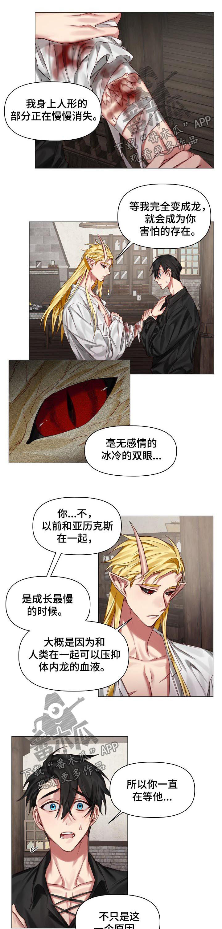 皇家骑士漫画,第36章：和你更幸福1图