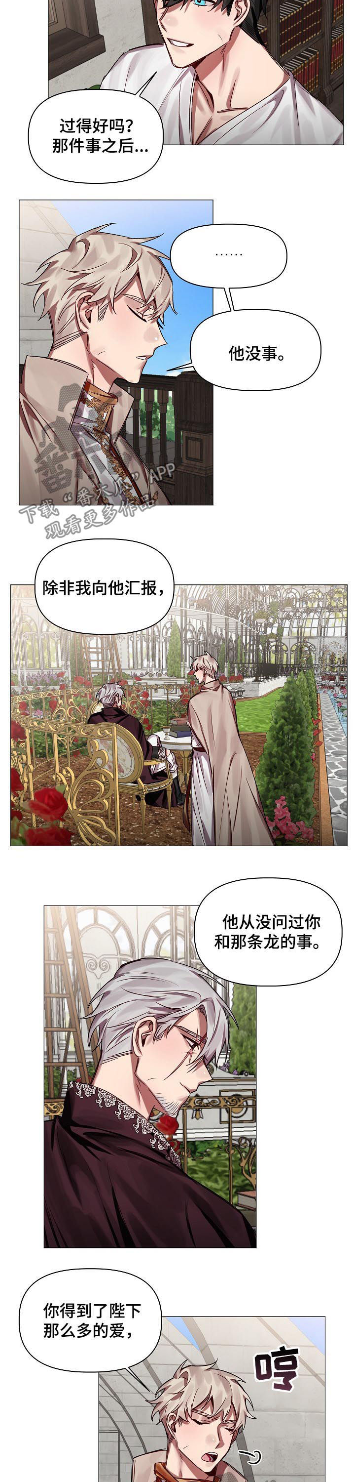 皇家骑士漫画,第47章：番外：怎会忘记1图