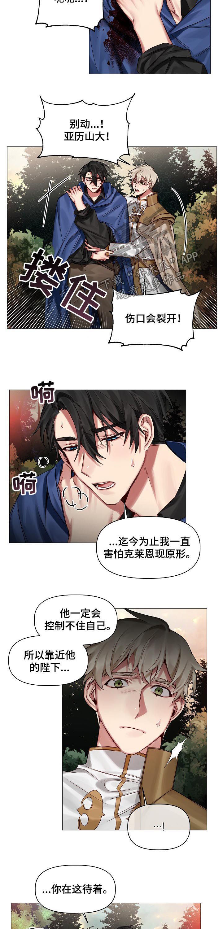 皇家骑士漫画,第43章：带我也去2图