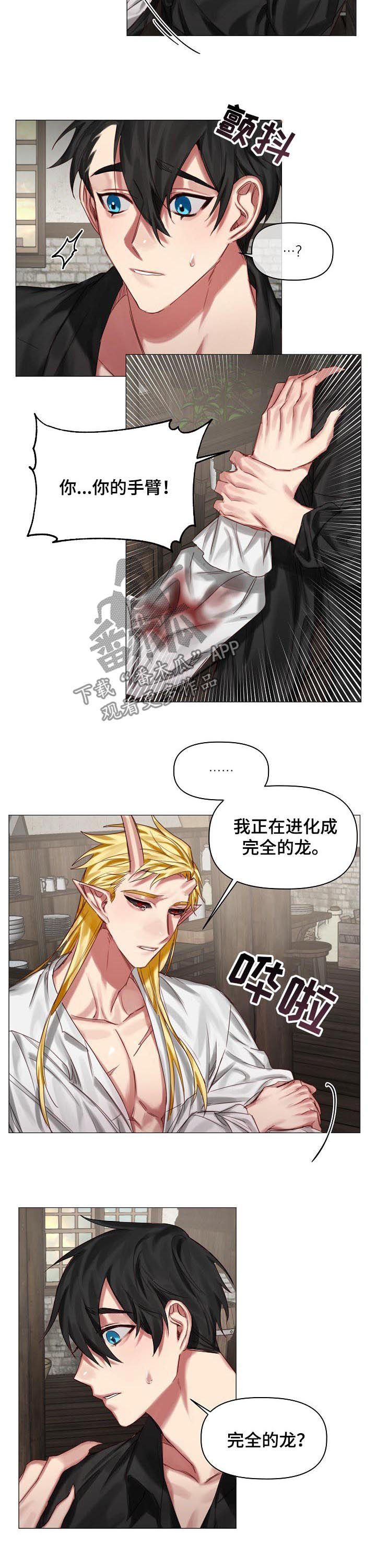 皇家骑士漫画,第36章：和你更幸福5图