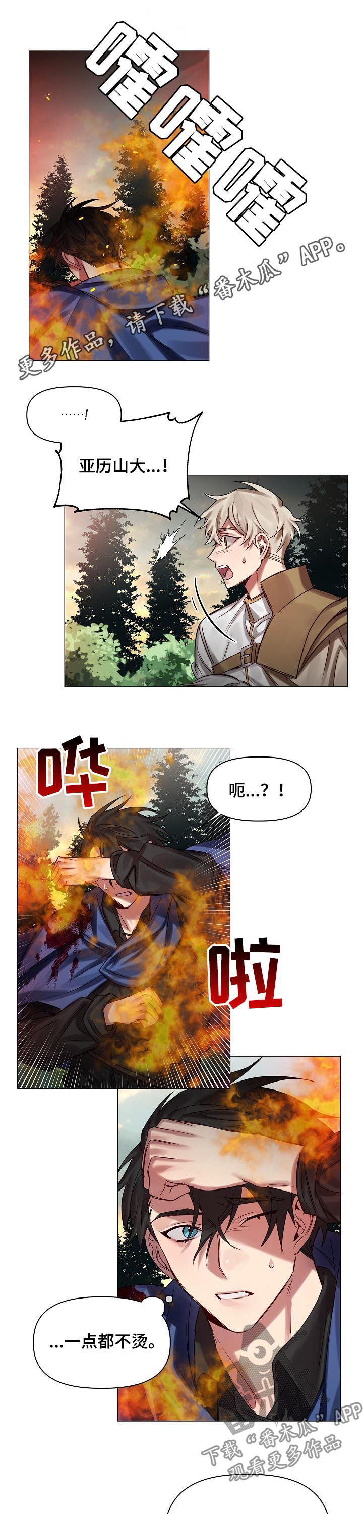 皇家骑士漫画,第45章：慢慢了解1图