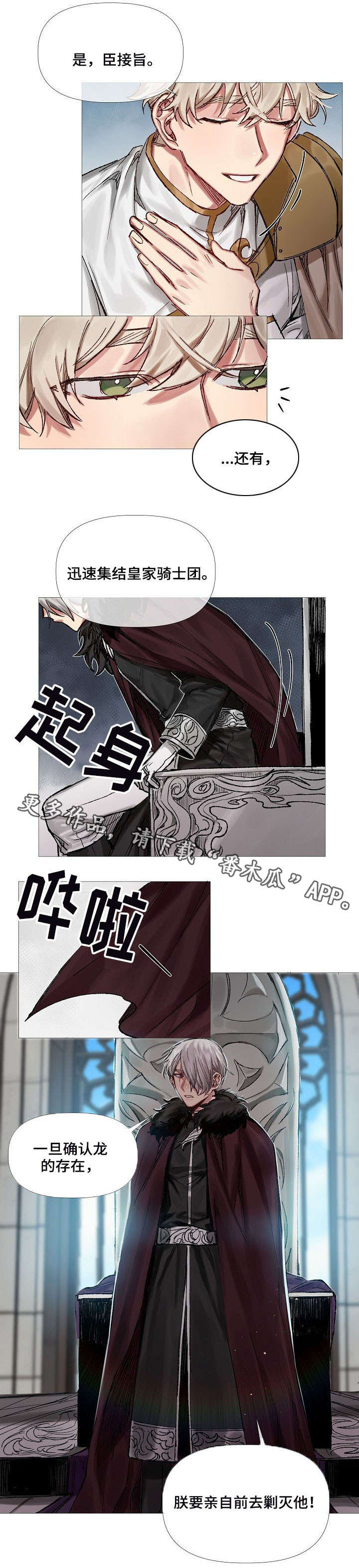 皇家骑士漫画,第8章：找寻记忆5图