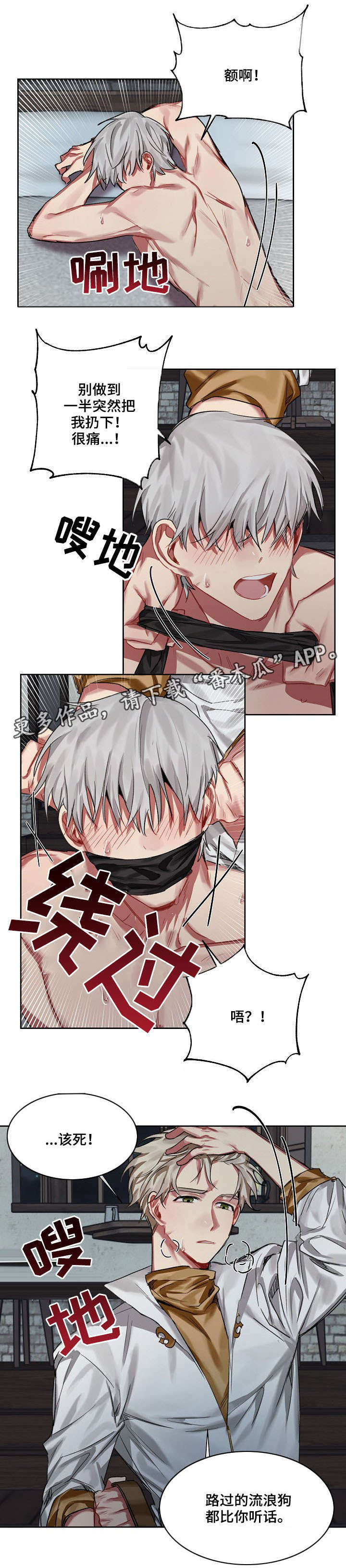 皇家骑士漫画,第19章：爱慕4图