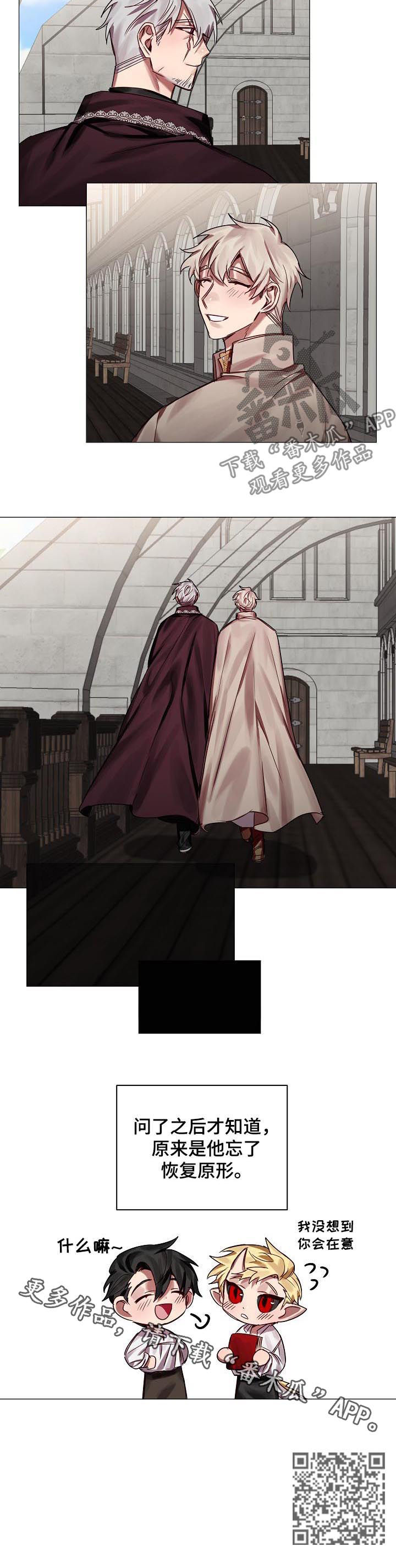 皇家骑士漫画,第48章：番外：同样在意3图