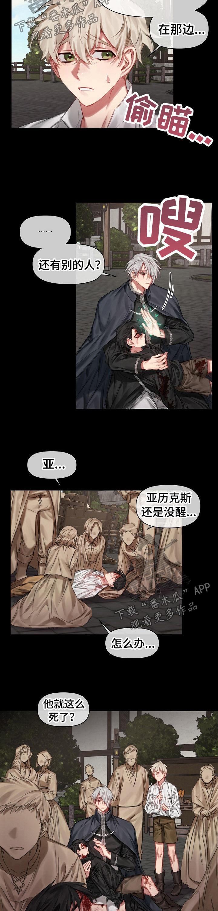 皇家骑士漫画,第29章：二选一5图