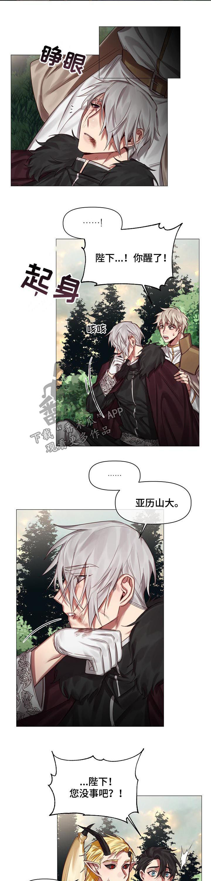 皇家骑士漫画,第46章：随便你们3图