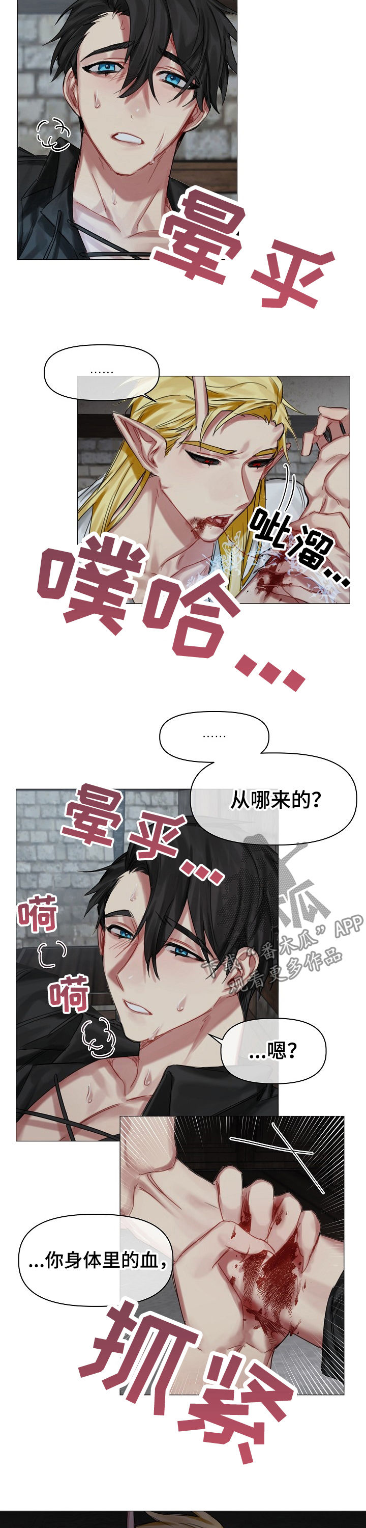 皇家骑士漫画,第27章：你是谁2图