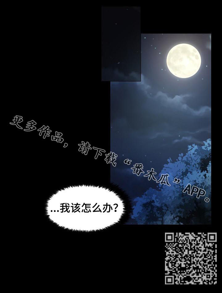 皇家骑士漫画,第31章：我爱他4图