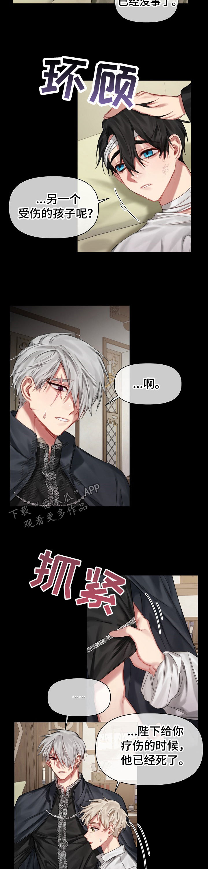 皇家骑士漫画,第30章：我不是他2图