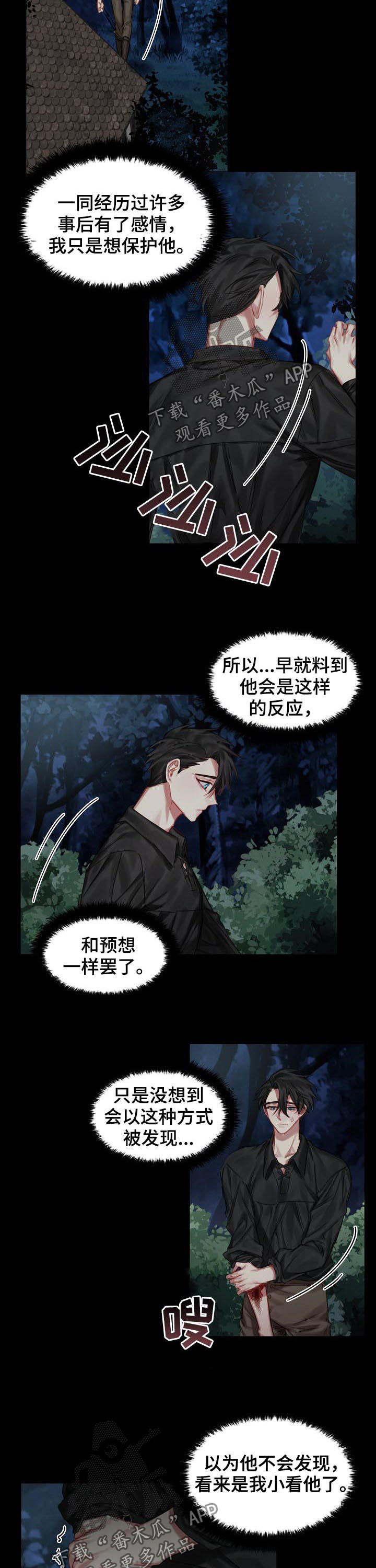皇家骑士漫画,第31章：我爱他3图