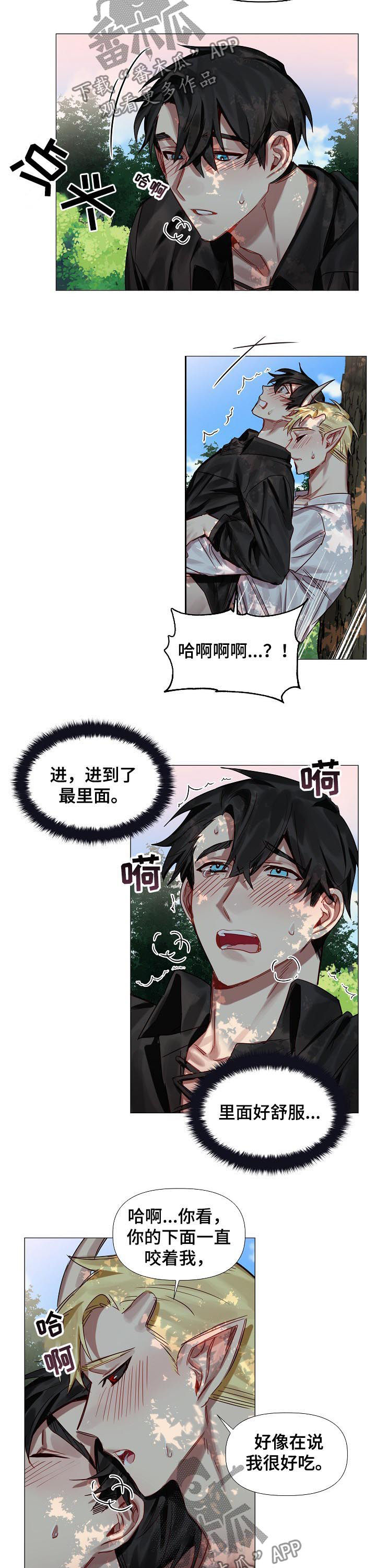 皇家骑士漫画,第50章：番外：还想玩？（完结）5图