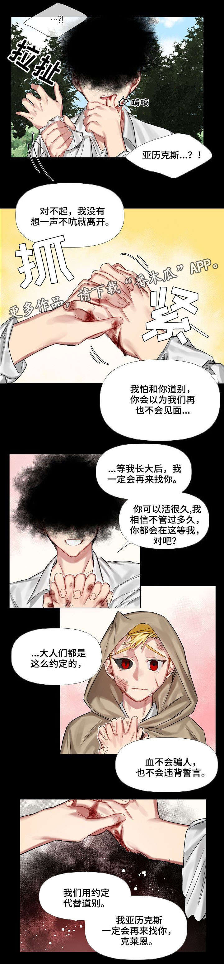 皇家骑士漫画,第11章：小时候（二）4图